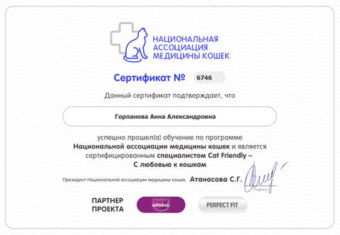 Сертификат Национальной ассоциации медицины кошек: сертифицированный специалист Cat Friendly