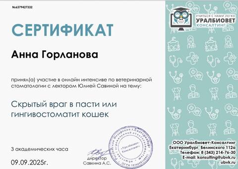 Сертификат: интенсив по ветеринарной стоматологии — гингивостоматит кошек