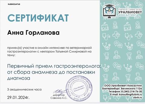 Сертификат: интенсив по ветеринарной гастроэнтерологии — первичный приём и постановка диагноза